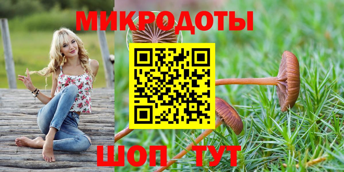 Галлюциногенные грибы Psilocybe Кубинка